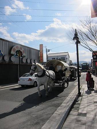 IMG_3347.JPG IMG_3347.JPG