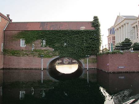 IMG_2698.JPG IMG_2698.JPG