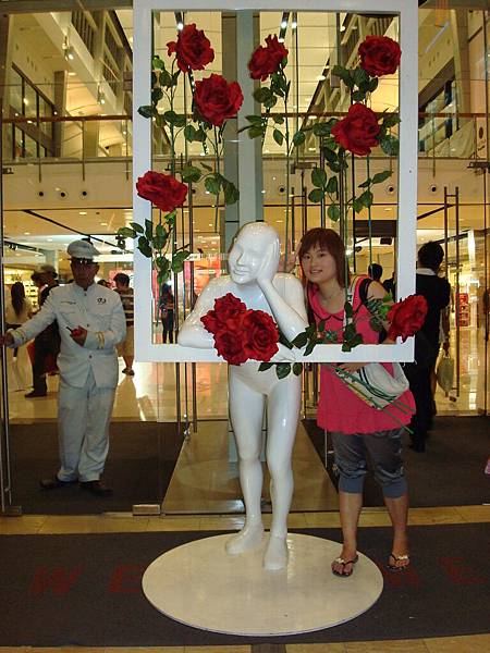 DSC02252.JPG DSC02252.JPG