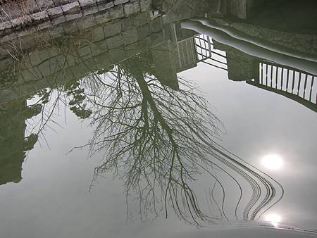 IMG_2228.JPG IMG_2228.JPG