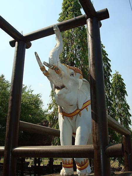 DSC02019.JPG DSC02019.JPG