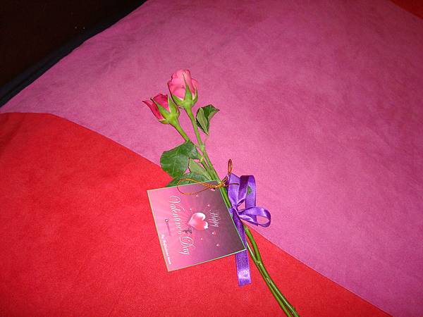 DSC02174.JPG DSC02174.JPG