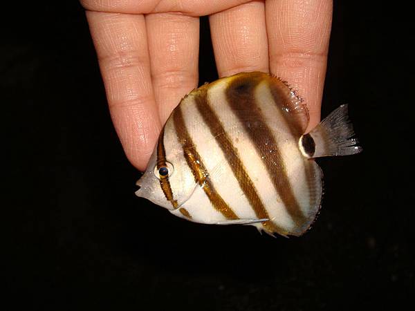 DSC02951.JPG DSC02951.JPG