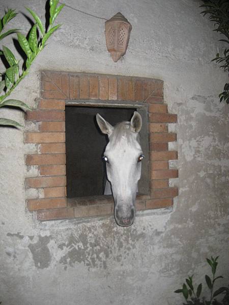 這張有夠蠢的!馬廄哈哈!.jpg 這張有夠蠢的!馬廄哈哈!.jpg