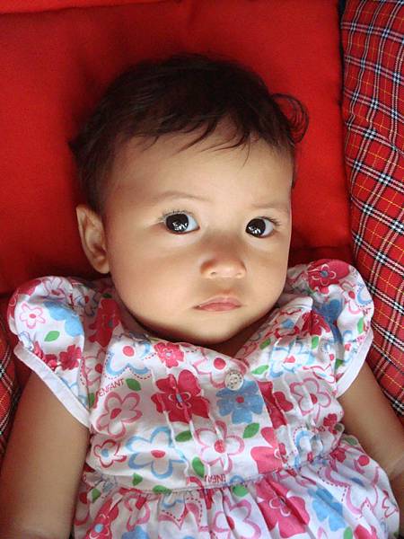 DSC02568.JPG DSC02568.JPG