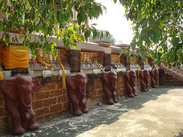 DSC02029.JPG DSC02029.JPG