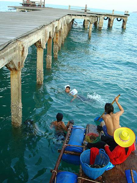 DSC02591.JPG DSC02591.JPG