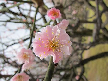 IMG_2999.JPG IMG_2999.JPG