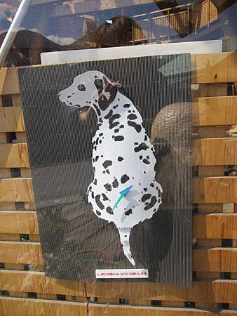 IMG_3271.JPG IMG_3271.JPG