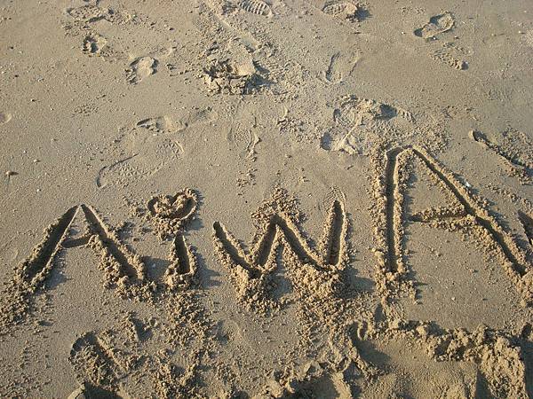 DSC02526.JPG DSC02526.JPG