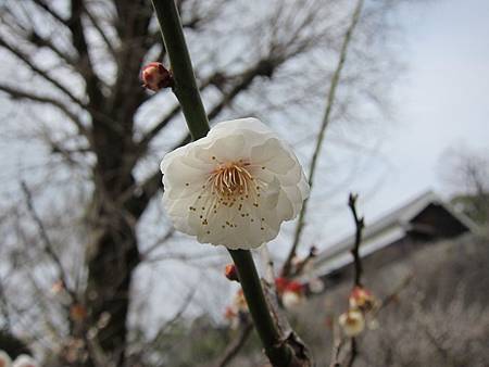 IMG_3002.JPG IMG_3002.JPG