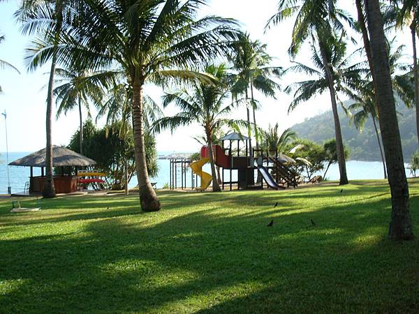 DSC02502.JPG DSC02502.JPG