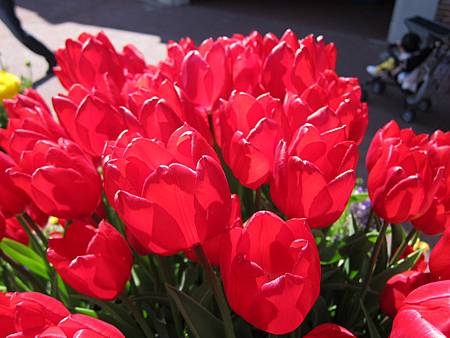 IMG_2509.JPG IMG_2509.JPG