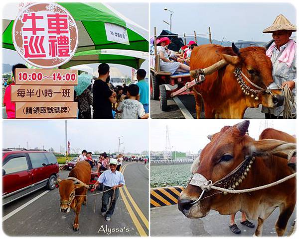 1021仁武菱角節