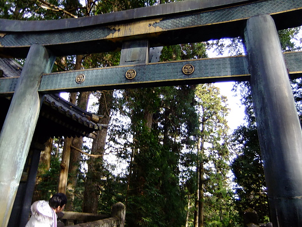 DSCF7839.JPG DSCF7839.JPG