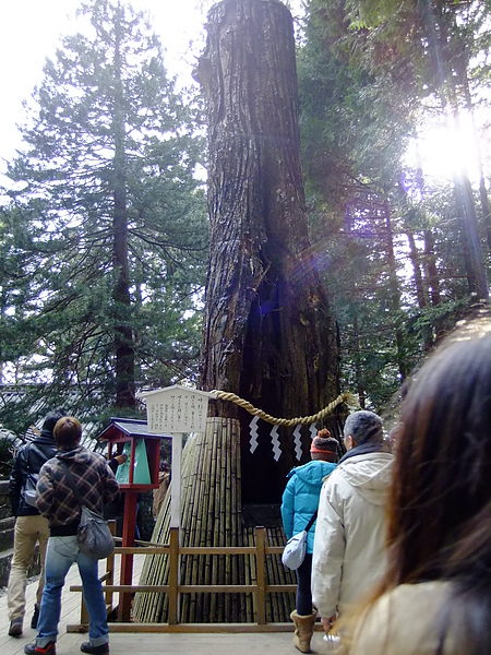 DSCF7833.JPG DSCF7833.JPG