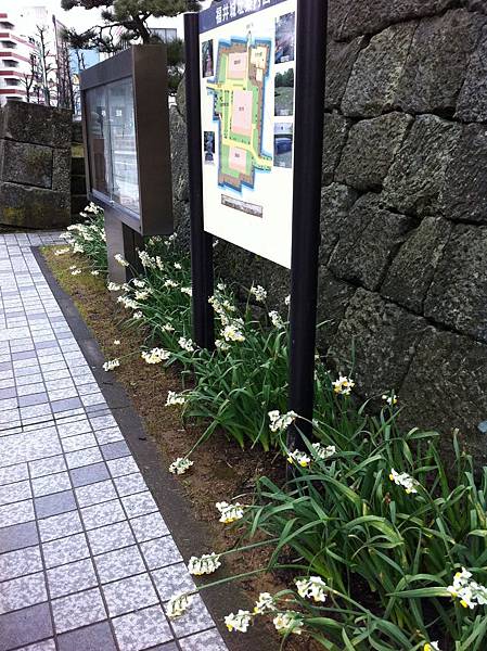 IMG_0406.JPG IMG_0406.JPG