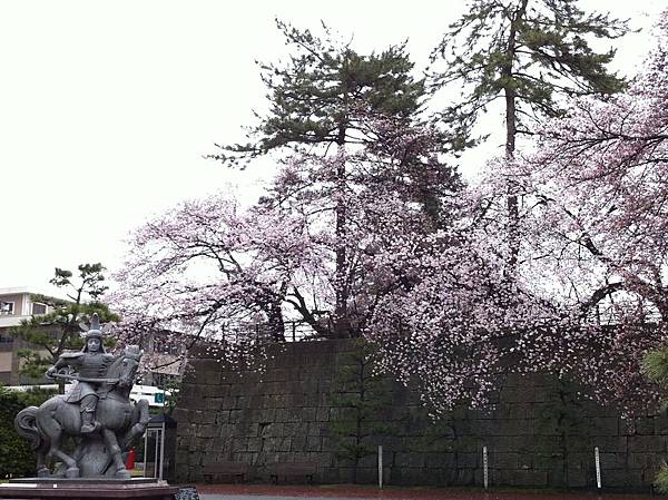 IMG_0410.JPG IMG_0410.JPG