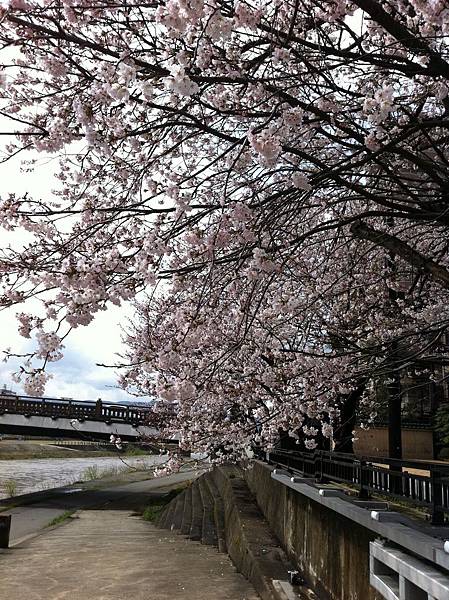 IMG_0570.JPG IMG_0570.JPG