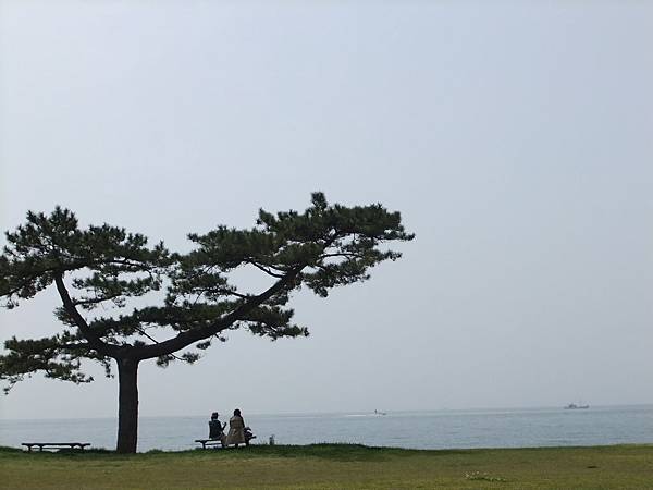 DSCF1815.JPG DSCF1815.JPG