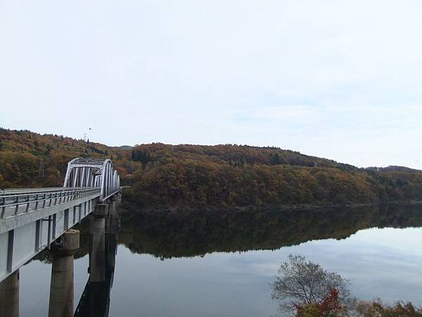 DSCF5950 DSCF5950