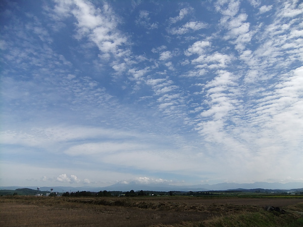 DSCF3734.JPG DSCF3734.JPG