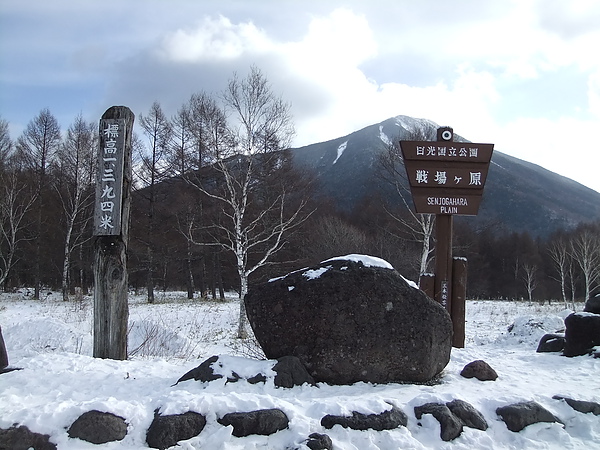 DSCF7699.JPG DSCF7699.JPG