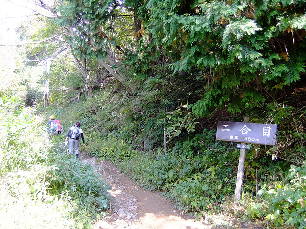 DSCF5304.JPG DSCF5304.JPG