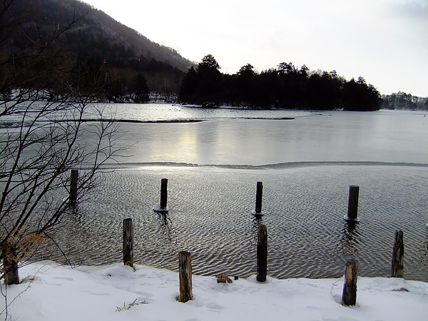 DSCF7677.JPG DSCF7677.JPG