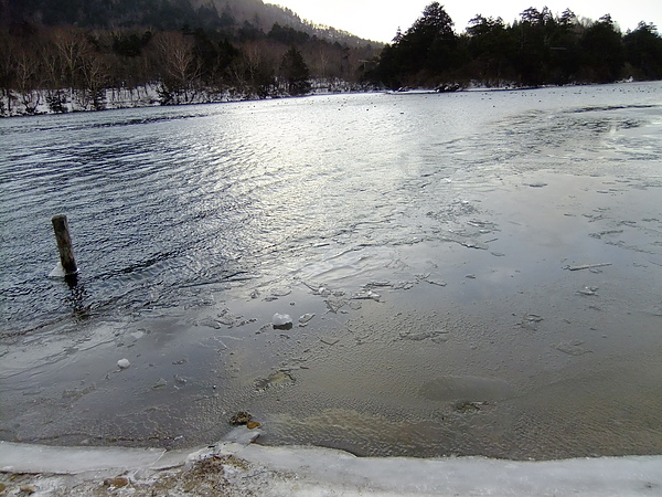 DSCF7673.JPG DSCF7673.JPG
