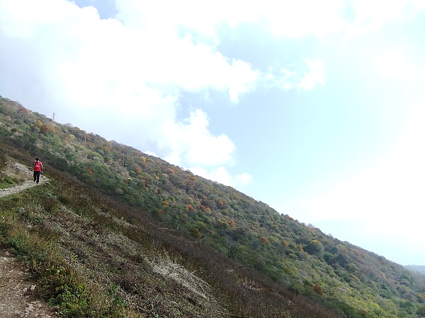 DSCF5337.JPG DSCF5337.JPG