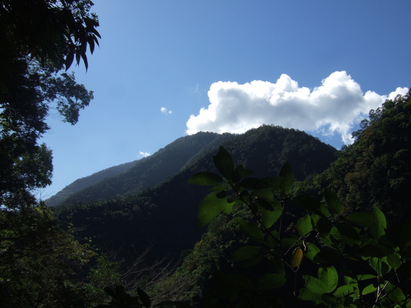 DSCF4918.JPG DSCF4918.JPG