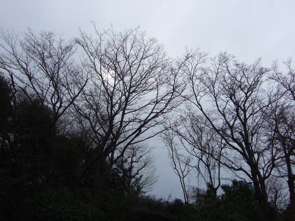 DSCF5654.JPG DSCF5654.JPG