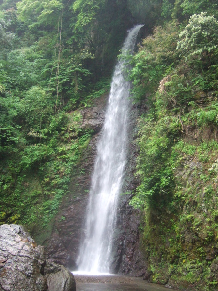 DSCF6885.JPG DSCF6885.JPG