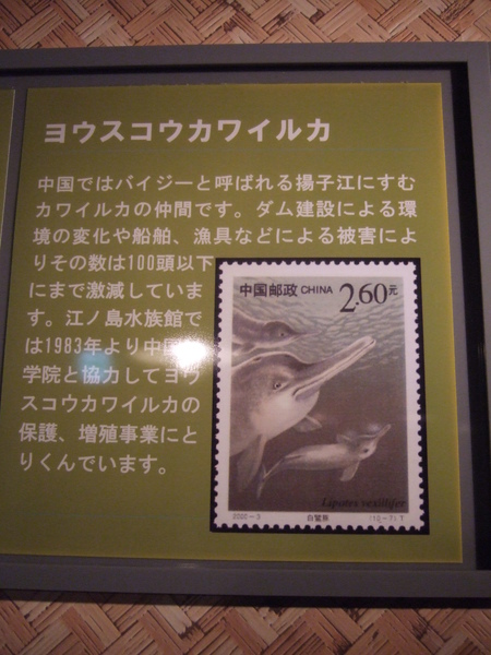 DSCF7004.JPG DSCF7004.JPG