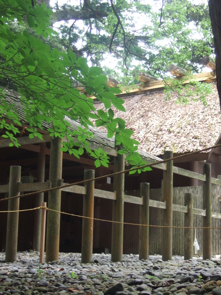DSCF7730.JPG DSCF7730.JPG