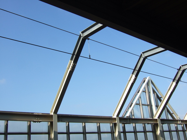DSCF8316.JPG DSCF8316.JPG