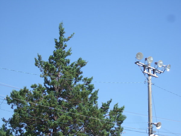 DSCF9118.JPG DSCF9118.JPG