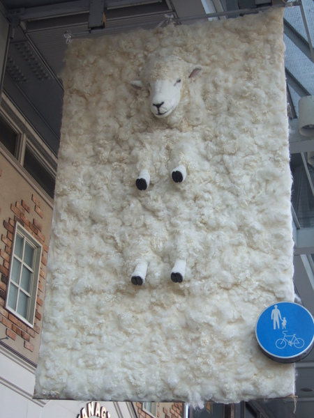 DSCF9273.JPG DSCF9273.JPG