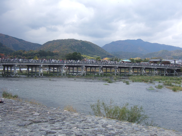 DSCF9527.JPG DSCF9527.JPG