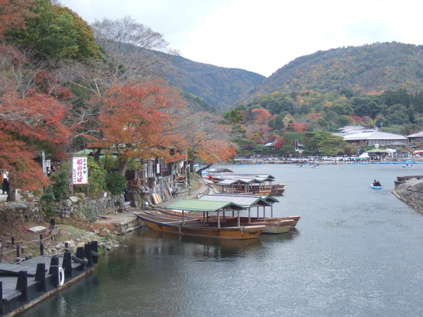 DSCF9536.JPG DSCF9536.JPG