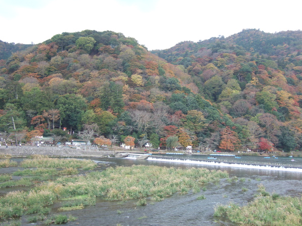 DSCF9545.JPG DSCF9545.JPG