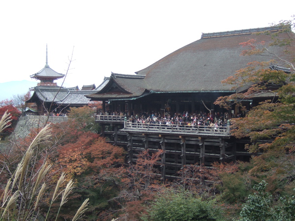 DSCF9590.JPG DSCF9590.JPG