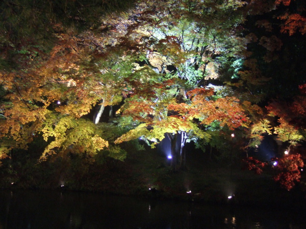 DSCF9670.JPG DSCF9670.JPG