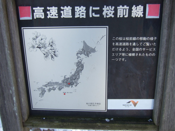 DSCF1557.JPG DSCF1557.JPG
