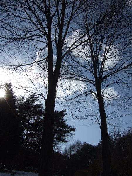 DSCF1560.JPG DSCF1560.JPG
