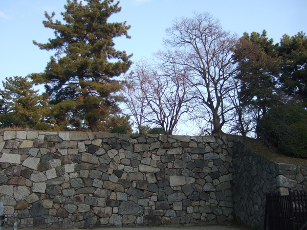 DSCF1850.JPG DSCF1850.JPG