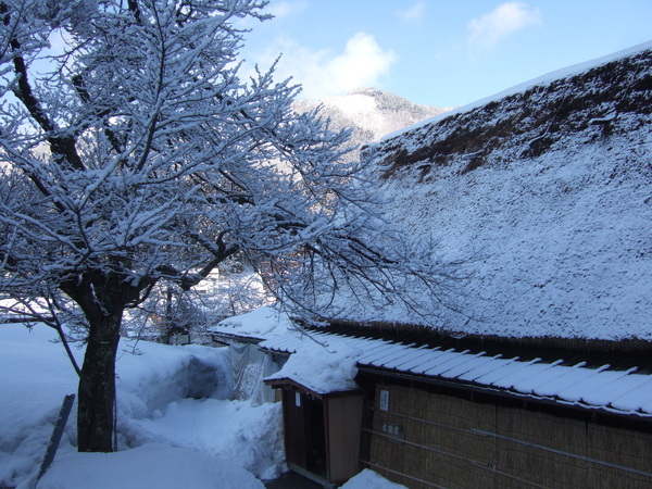 DSCF2265.JPG DSCF2265.JPG