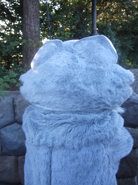 DSCF0938.JPG DSCF0938.JPG