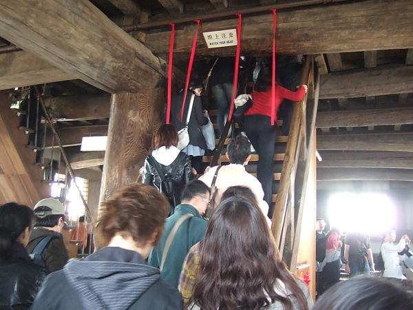 DSCF2923.JPG DSCF2923.JPG